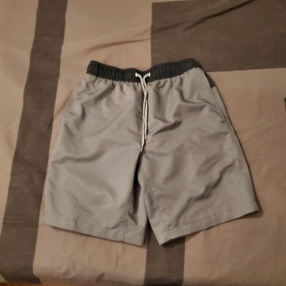 Men's Size Small Speedo Gray Swim Water Beach Shorts Trunks